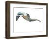 Untitled-Mark Adlington-Framed Giclee Print