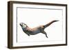 Untitled-Mark Adlington-Framed Giclee Print