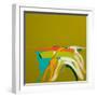 Untitled-Angie Kenber-Framed Giclee Print