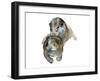 Untitled-Mark Adlington-Framed Giclee Print