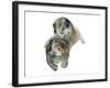 Untitled-Mark Adlington-Framed Giclee Print