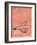 Untitled-Didier Gaillard-Framed Giclee Print