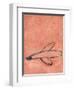 Untitled-Didier Gaillard-Framed Giclee Print