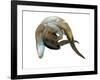 Untitled-Mark Adlington-Framed Giclee Print