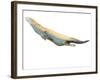 Untitled-Mark Adlington-Framed Giclee Print