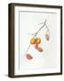 Untitled-Margaret Ann Eden-Framed Giclee Print