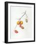 Untitled-Margaret Ann Eden-Framed Giclee Print