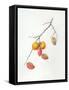 Untitled-Margaret Ann Eden-Framed Stretched Canvas