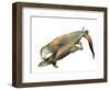 Untitled-Mark Adlington-Framed Giclee Print