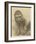 Untitled-Wilhelm Von Gloeden-Framed Giclee Print