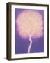 Untitled-Peter Davidson-Framed Giclee Print