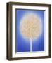 Untitled-Peter Davidson-Framed Giclee Print