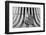 Untitled-Shay Lev Ari-Framed Photographic Print