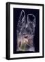 Black Frame
