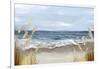 Untouched Beach Grass-Eva Watts-Framed Art Print