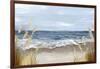 Untouched Beach Grass-Eva Watts-Framed Art Print