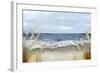 Untouched Beach Grass-Eva Watts-Framed Art Print