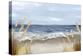 Untouched Beach Grass-Eva Watts-Stretched Canvas