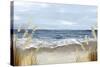 Untouched Beach Grass-Eva Watts-Stretched Canvas