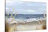 Untouched Beach Grass-Eva Watts-Stretched Canvas