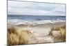 Untouched Beach-Eva Watts-Mounted Art Print