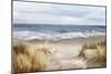 Untouched Beach-Eva Watts-Mounted Premium Giclee Print