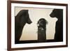 Unusual Encounter-Ruben Ireland-Framed Premium Giclee Print