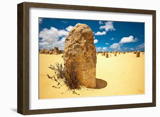 Unusual Large Stones in Sandy Landscape-Will Wilkinson-Framed Photographic Print