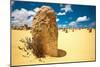 Unusual Large Stones in Sandy Landscape-Will Wilkinson-Mounted Photographic Print