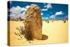 Unusual Large Stones in Sandy Landscape-Will Wilkinson-Stretched Canvas