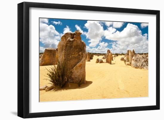 Unusual Large Stones in Sandy Landscape-Will Wilkinson-Framed Photographic Print