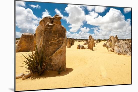 Unusual Large Stones in Sandy Landscape-Will Wilkinson-Mounted Photographic Print