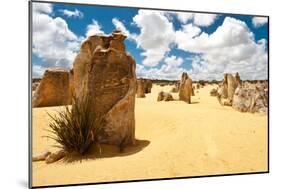 Unusual Large Stones in Sandy Landscape-Will Wilkinson-Mounted Photographic Print