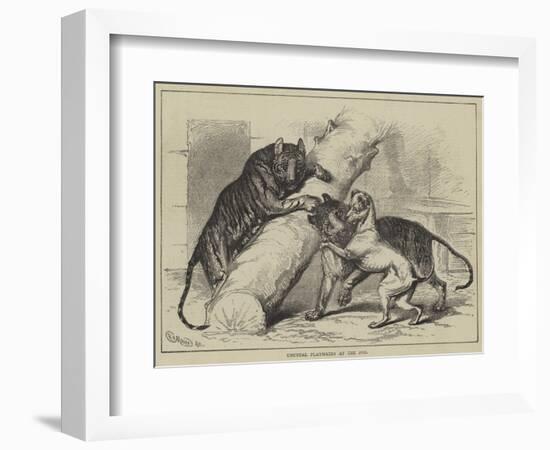 Unusual Playmates at the Zoo-null-Framed Giclee Print