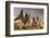 Unusual Rock Formations in the Rose Valley, Cappadocia, Anatolia, Turkey, Asia Minor, Eurasia-David Clapp-Framed Photographic Print