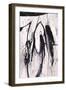 Unusual Suspect-Joshua Schicker-Framed Giclee Print