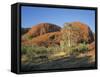 Unusual Weathered Rock Formation, the Olgas, Northern Territory, Australia-Ken Wilson-Framed Stretched Canvas