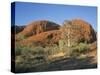 Unusual Weathered Rock Formation, the Olgas, Northern Territory, Australia-Ken Wilson-Stretched Canvas