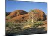 Unusual Weathered Rock Formation, the Olgas, Northern Territory, Australia-Ken Wilson-Mounted Photographic Print