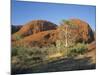Unusual Weathered Rock Formation, the Olgas, Northern Territory, Australia-Ken Wilson-Mounted Photographic Print