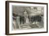 Unveiling the Statue of the Late Charles Darwin in the Natural History Museum, South Kensington-null-Framed Giclee Print