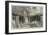 Unveiling the Statue of the Late Charles Darwin in the Natural History Museum, South Kensington-null-Framed Giclee Print