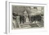 Unveiling the Statue of the Late Charles Darwin in the Natural History Museum, South Kensington-null-Framed Giclee Print