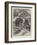 Unwelcome Visitors, an Adventure in Northern Canada-William Small-Framed Giclee Print