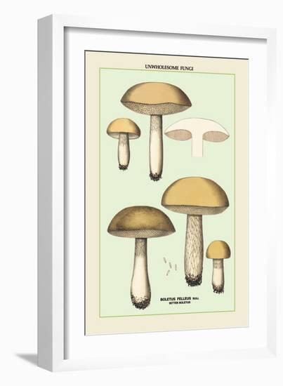 Unwholesome Fungi: Bitter Boletus-null-Framed Art Print