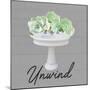 Unwind Succulent-Marcus Prime-Mounted Art Print