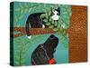 Up A Tree Black Cat Black Dog-Stephen Huneck-Stretched Canvas