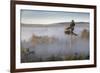 Up Above-Andreas Stridsberg-Framed Giclee Print