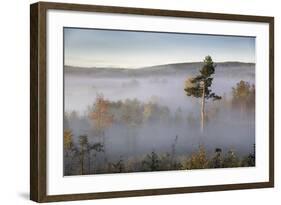 Up Above-Andreas Stridsberg-Framed Giclee Print