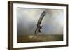 Up Against the Stormy Sea Bald Eagle-Jai Johnson-Framed Premium Giclee Print